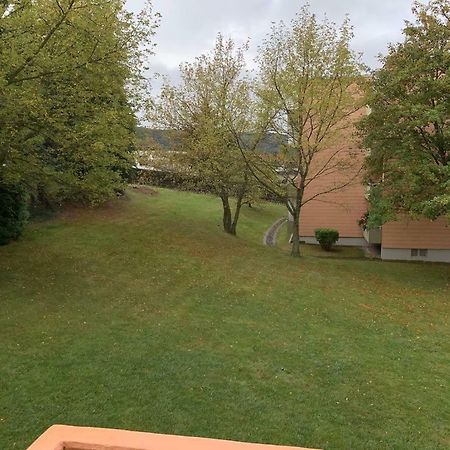 Mariposa 2 Apartment Bad Harzburg Luaran gambar